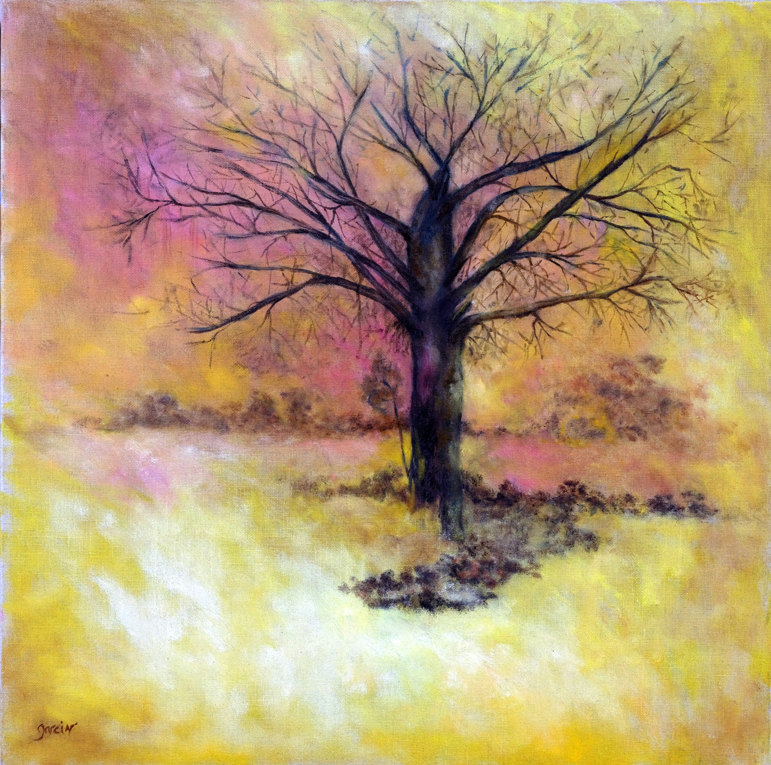 L&rsquo;arbre, 2017 huile sur toile 60 X 60 cm
