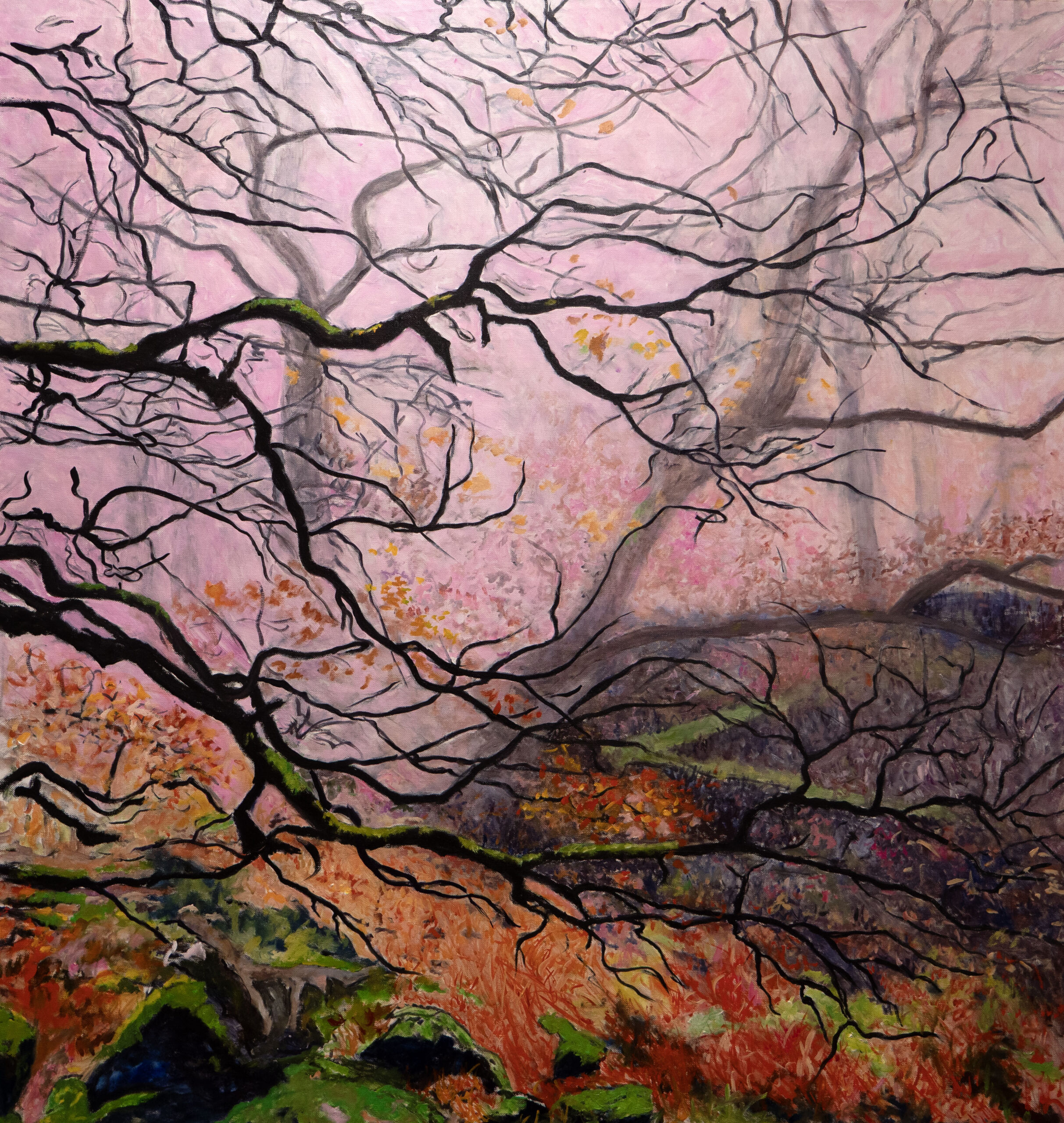 Biome sous contrainte, huile sur toile, 114 X 120 cm, 2026